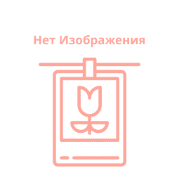 Ирисы (Цвет на выбор)